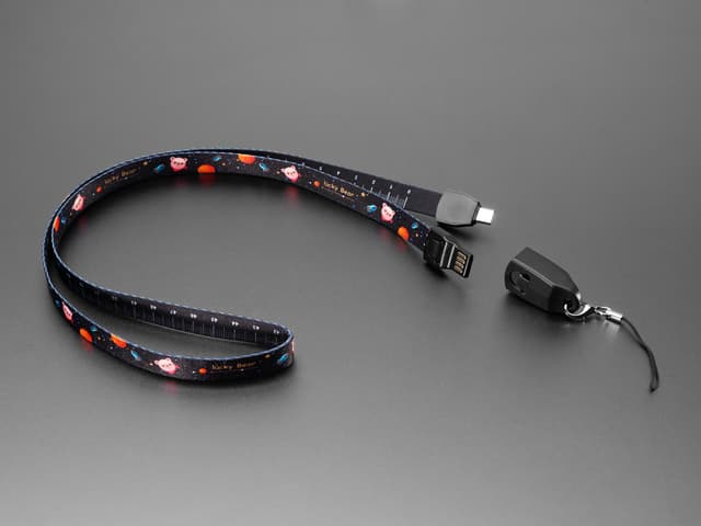 USB Cable Lanyard with USB A and USB C Tips